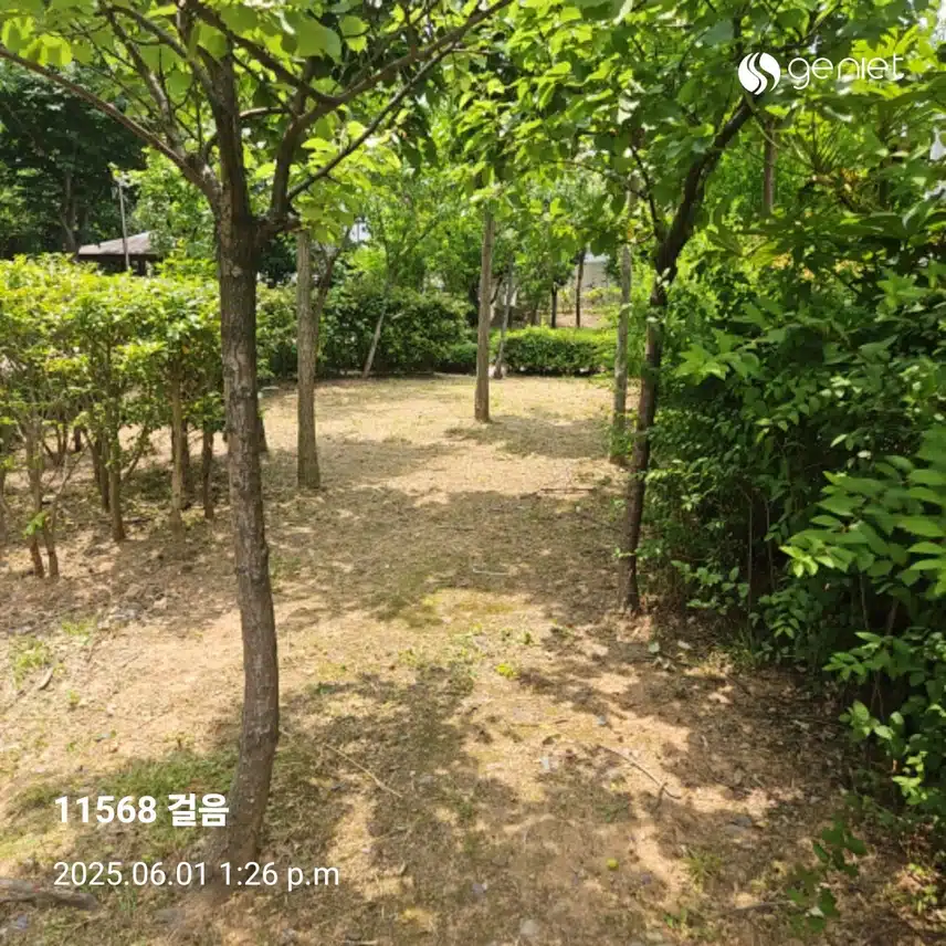 점심후 산책으로 걷기와 계단오르기 🏃