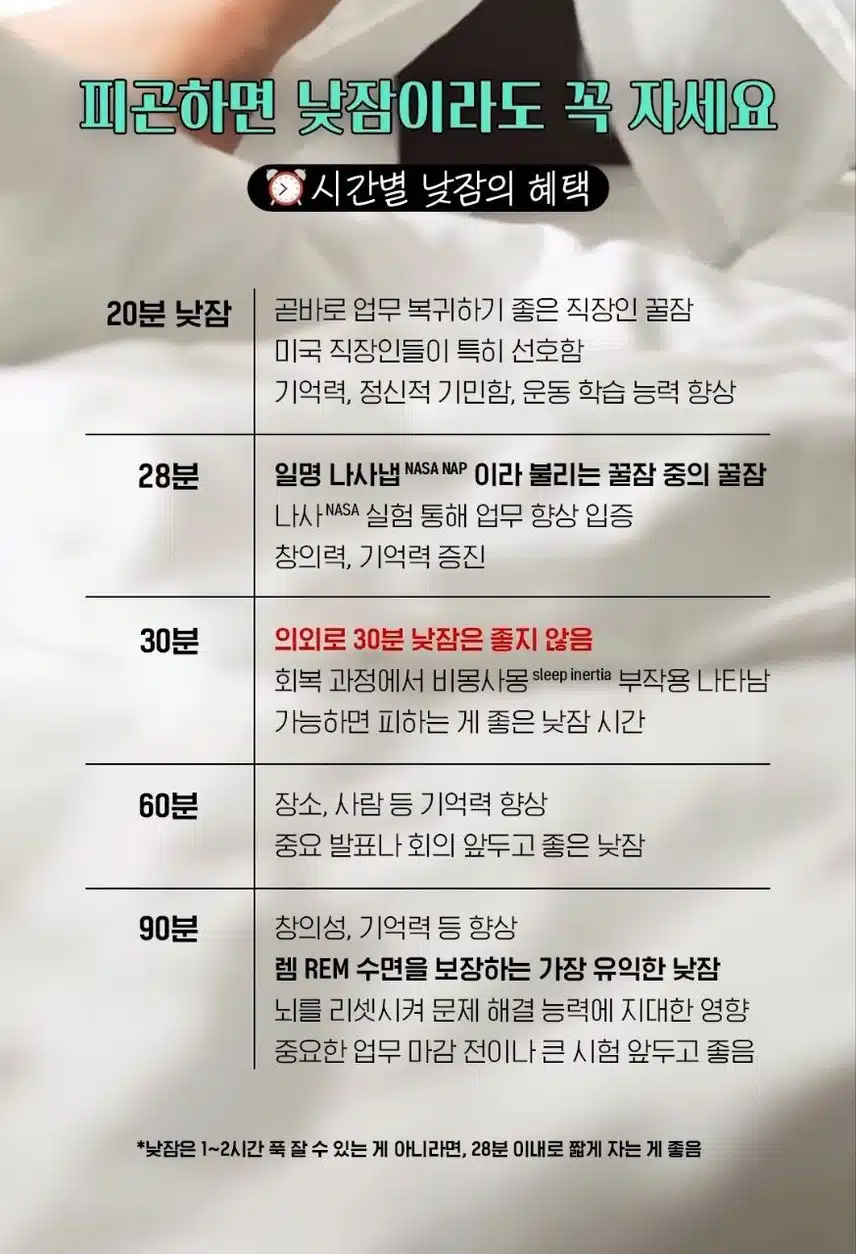 시간별 낮잠의 혜택
