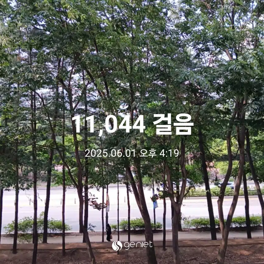 일요일 걷기운동^^