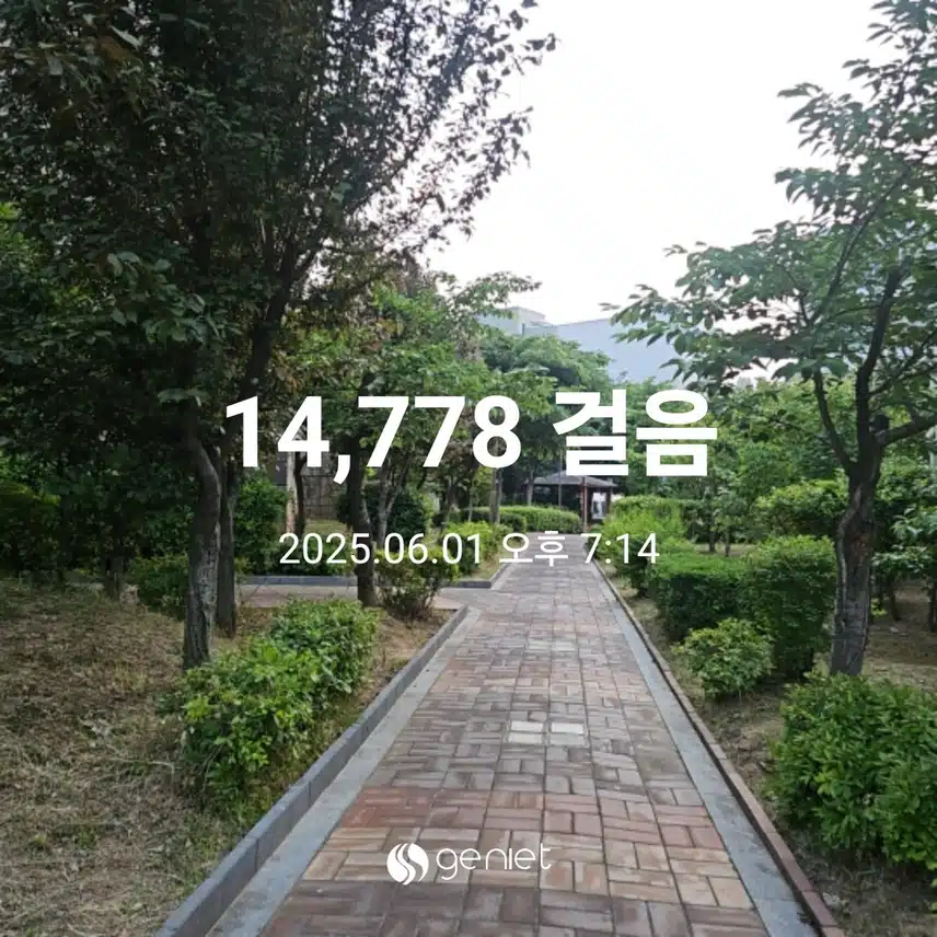 붉은 노을빛 산책길 걸었네요. 🌆 