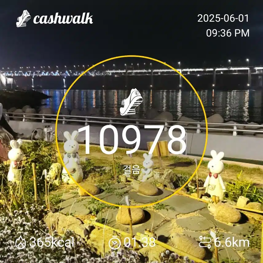 인증 