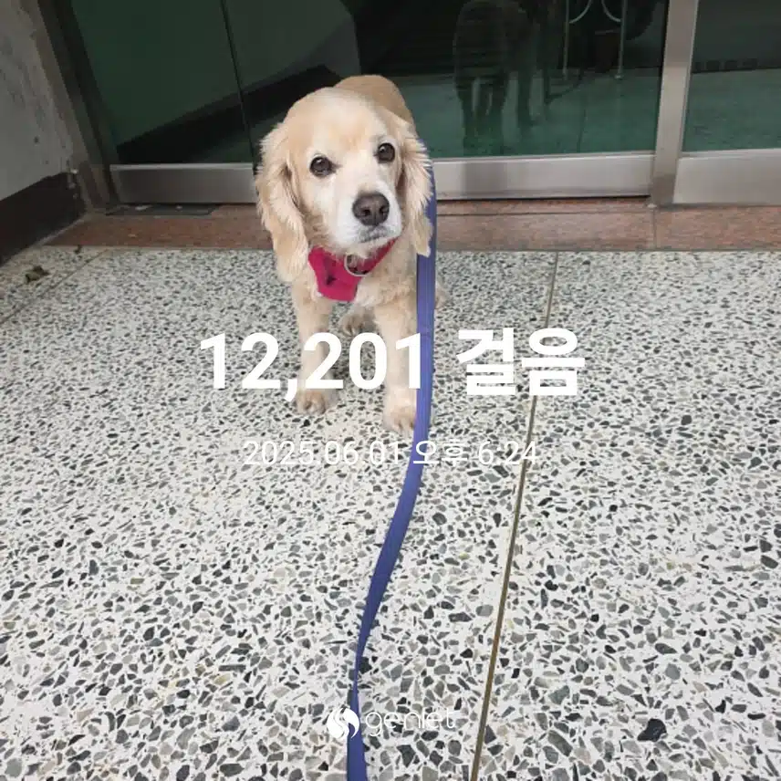 일요일 마무리 