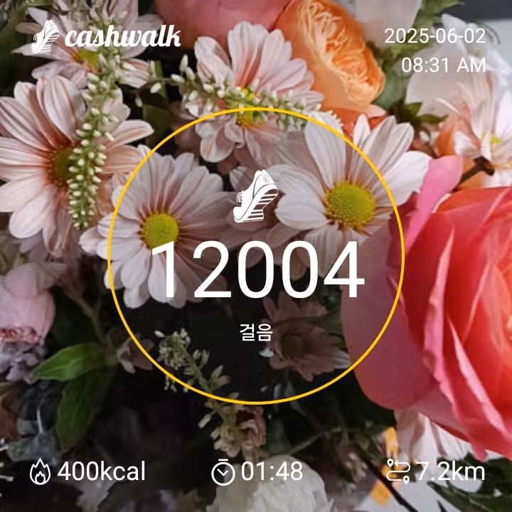 오전 운동 