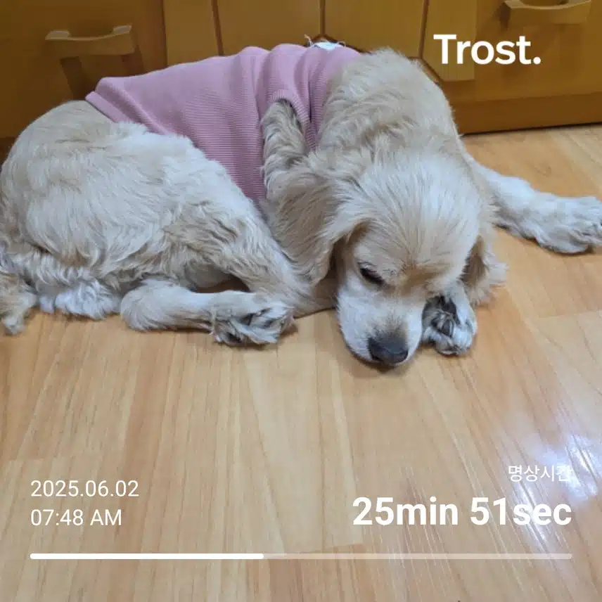 월요일 아침 