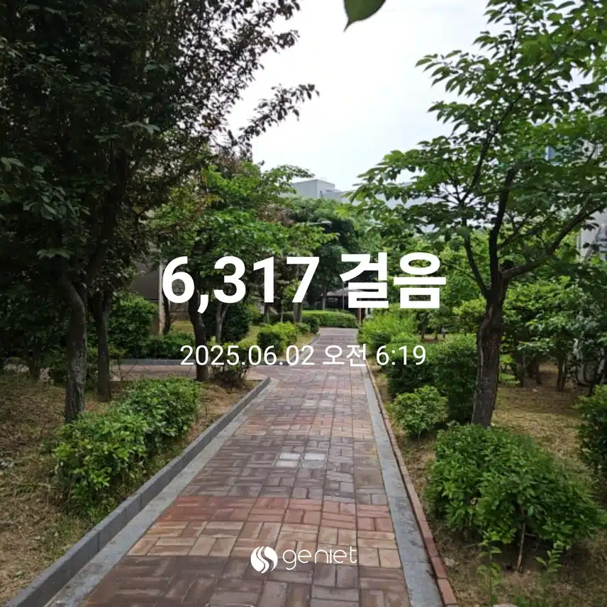 비 오기 전 산책으로 🏃