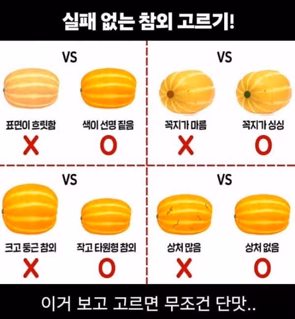 실패 없는 참외 고르기