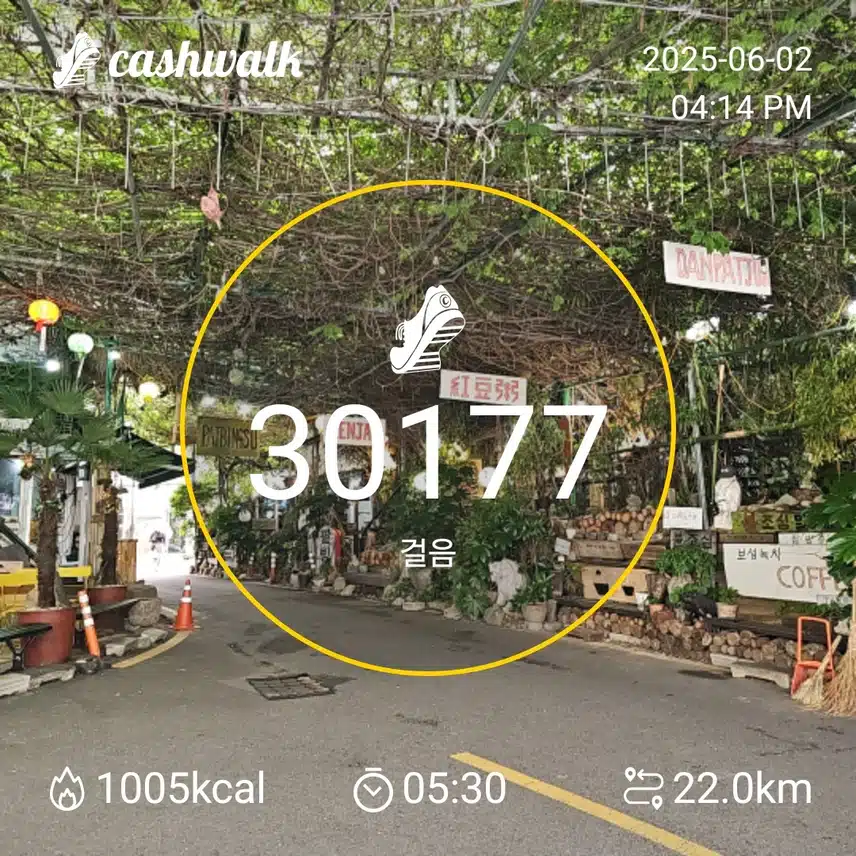 인증 