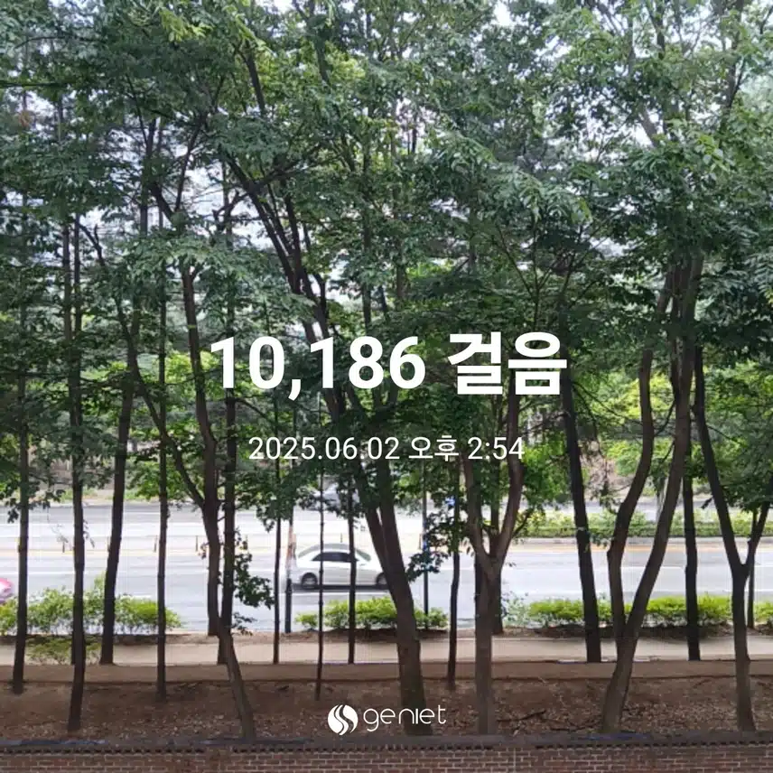 월요일 걷기운동^^