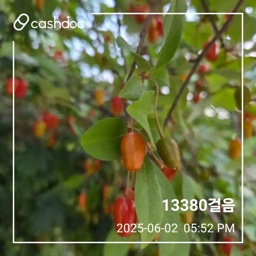 오늘 걸음 