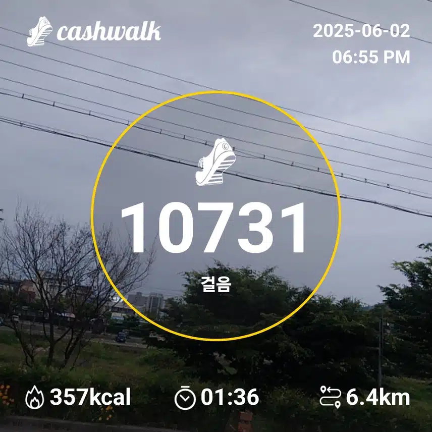 인증
