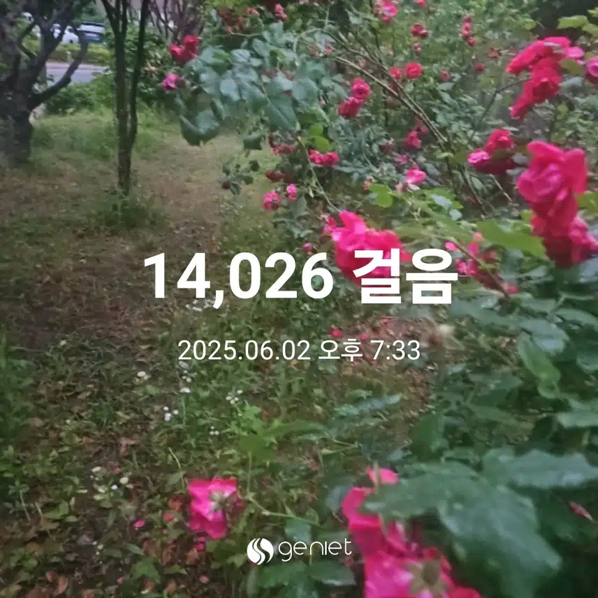 식후 걷기의 맛 🏃 