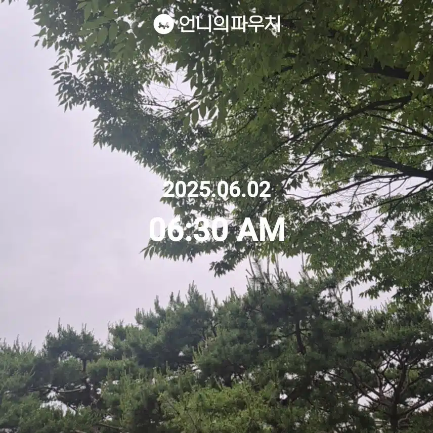 2025년 6월 2일 걷기 