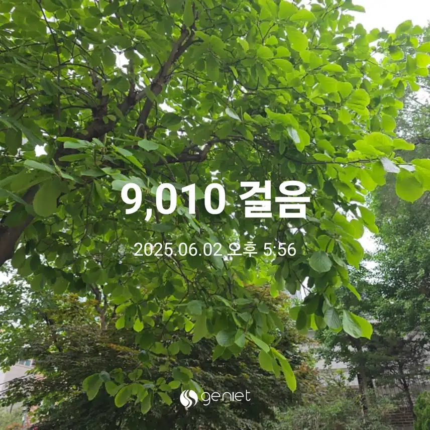 월요일 마무리 