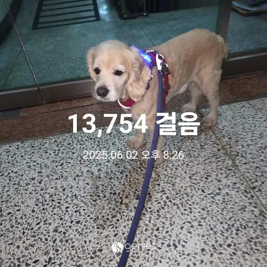 월요일 마무리 