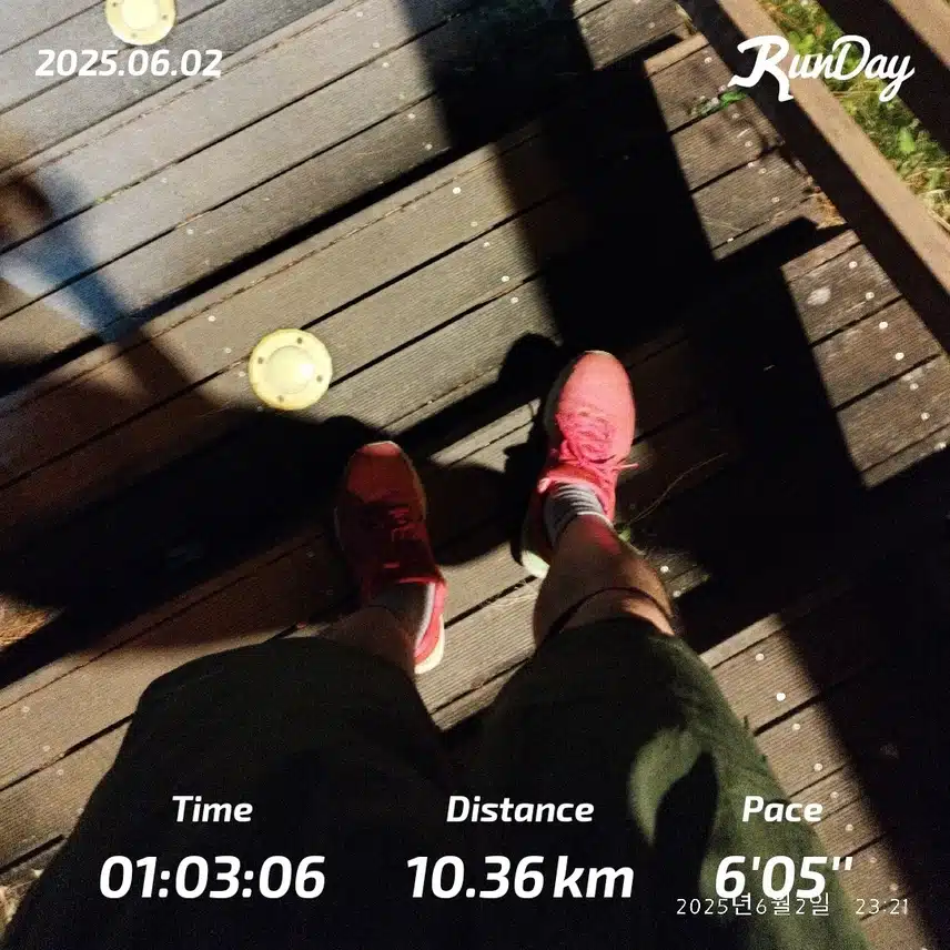 10km 즐겁게 달렸습니다🏃🏻‍♂️
