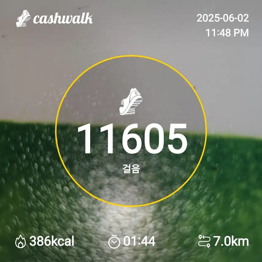 인증