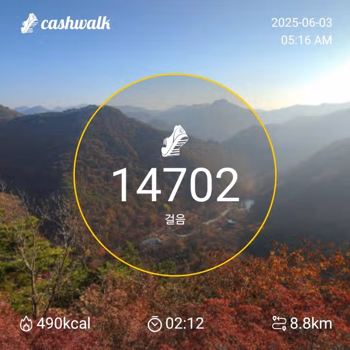 인증