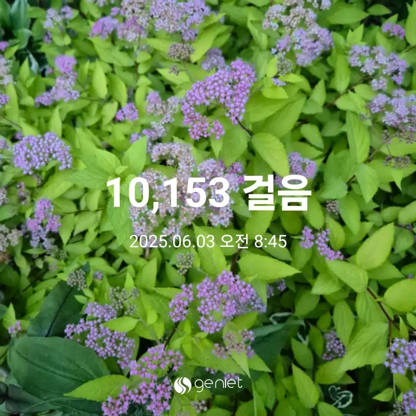만보걷기 완주했어요