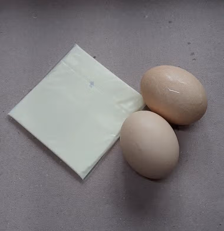 삶은 계란과 치즈 