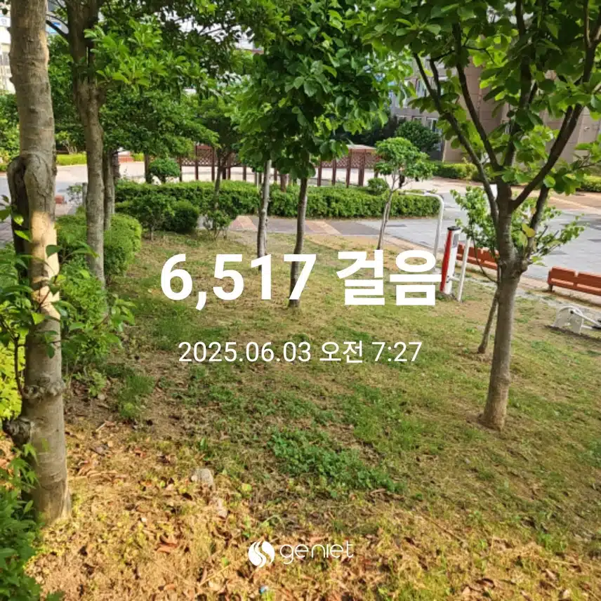 붉은 산수국 산책길🏃