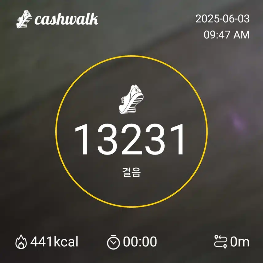 인증