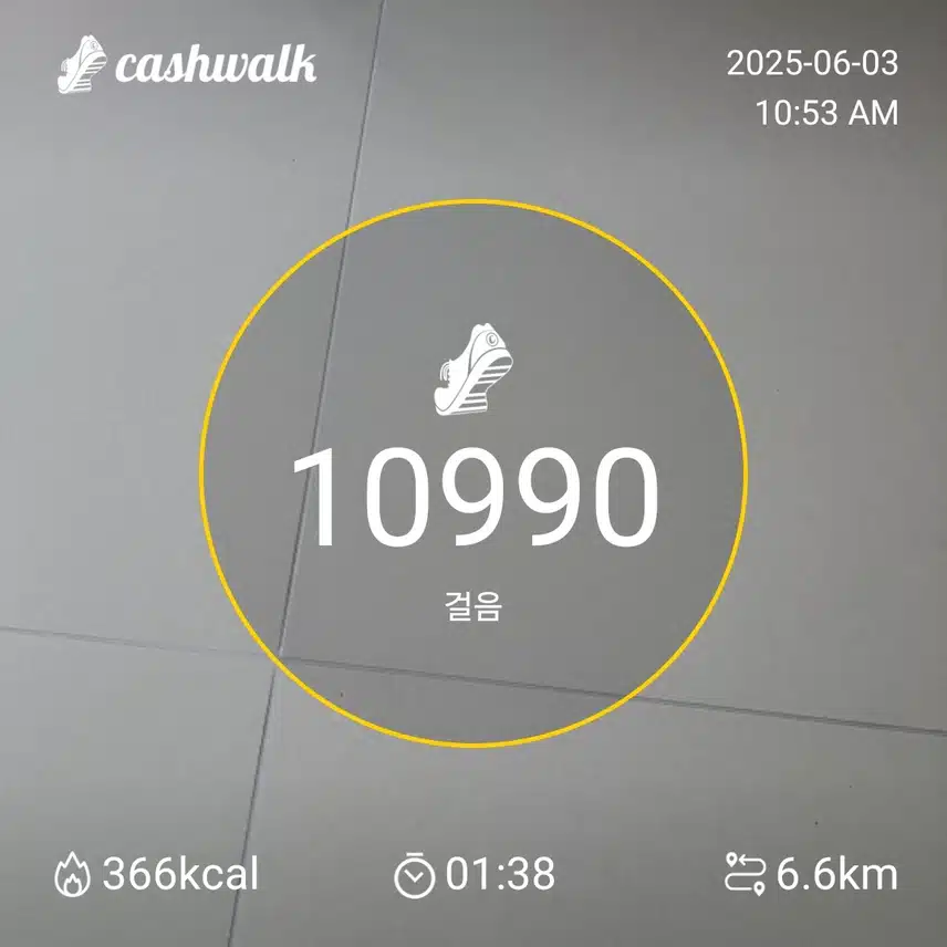 인증 