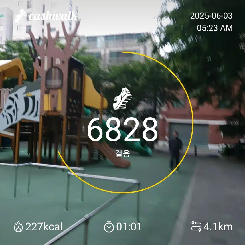 6000보 걷기