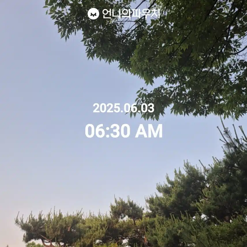 6월 3일 걷기 