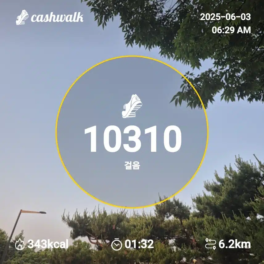 6월 3일 걷기 