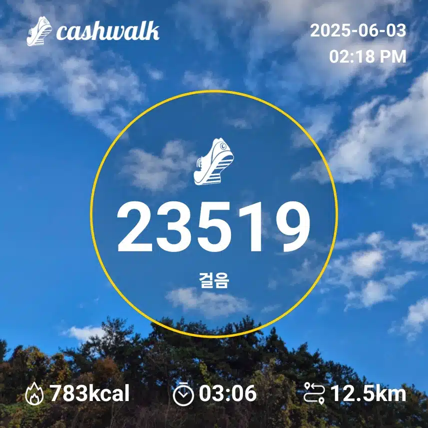 인증