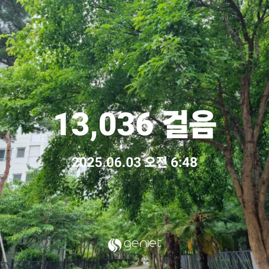 오늘도 만보걷기 새벽운동 