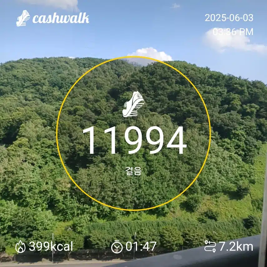 인증 