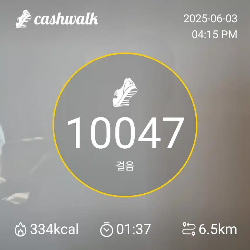 인증