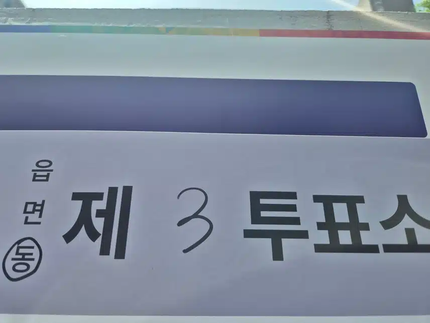저도 투표했어요