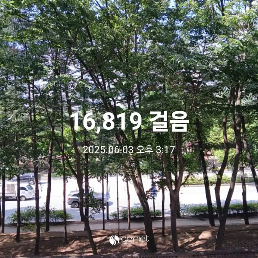 화요일 걷기운동^^
