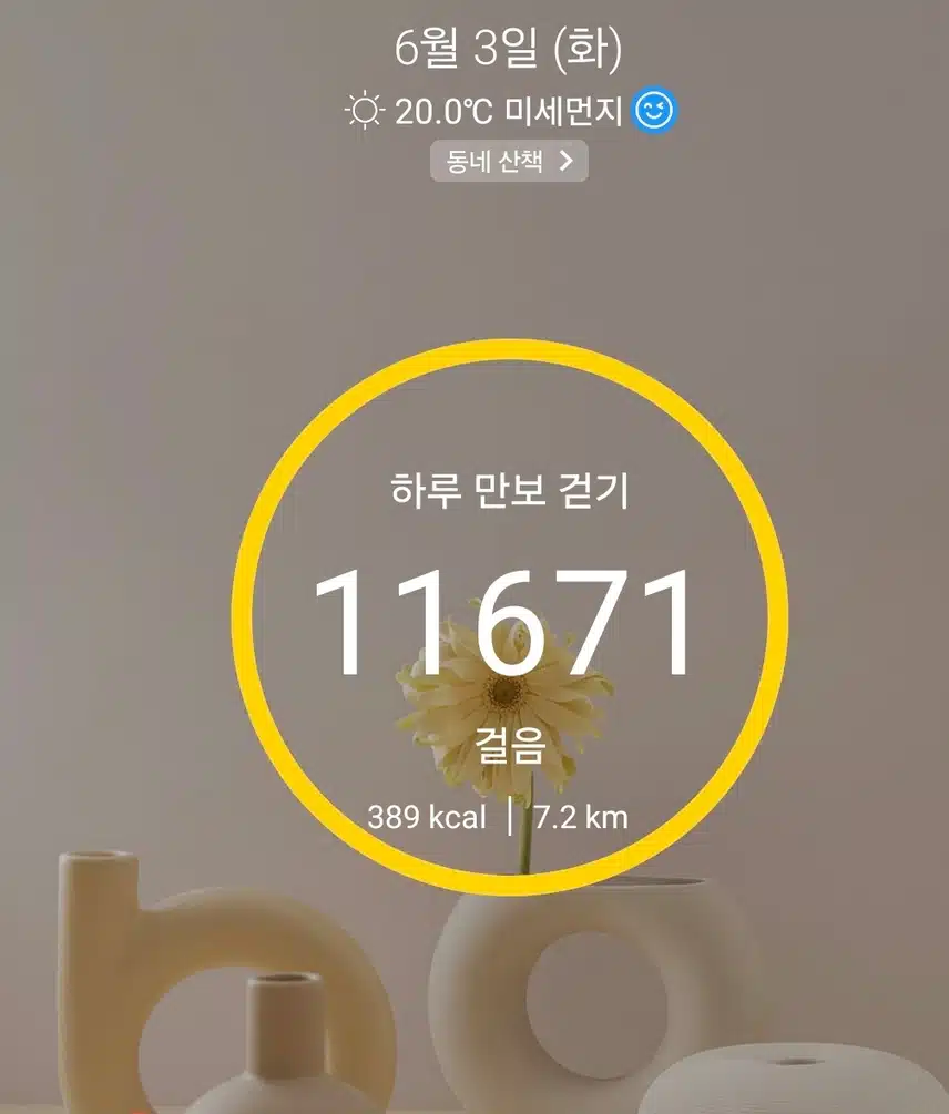 1만보 걷기 운동