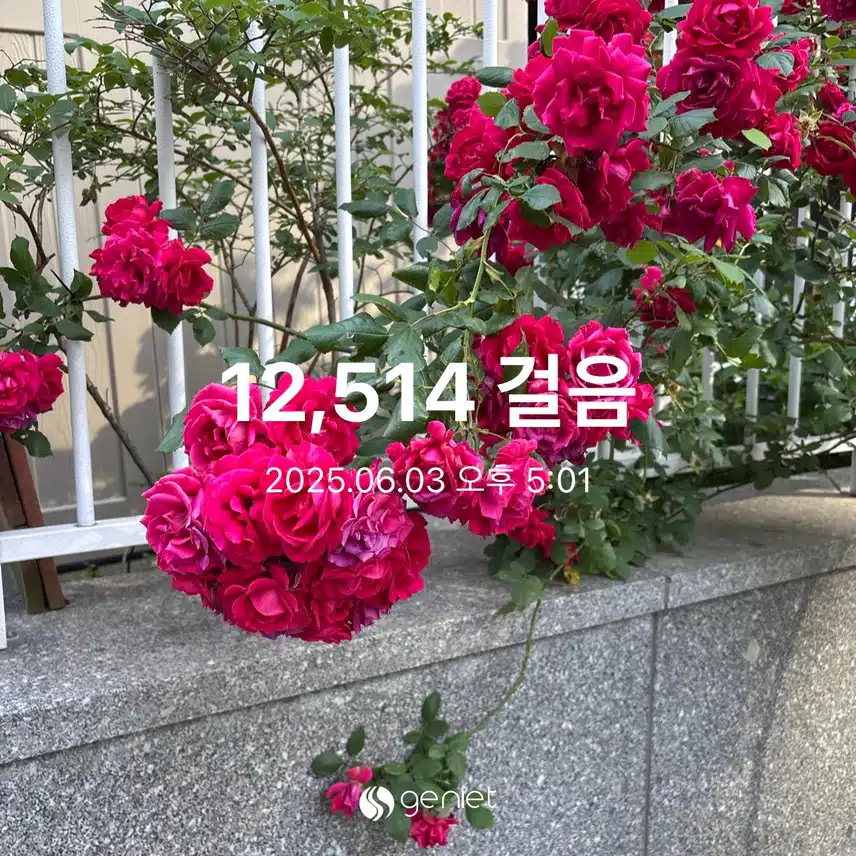 화요일 만보걷기🚶‍♂️🚶‍♀️
