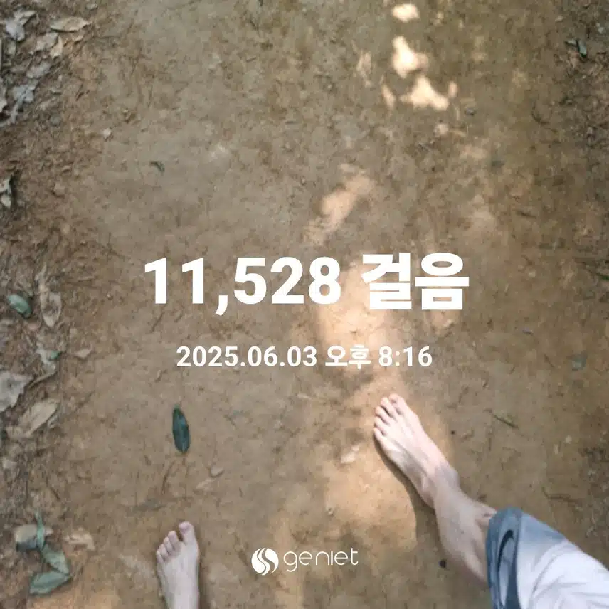 더운날은 숲에서 만보걷기