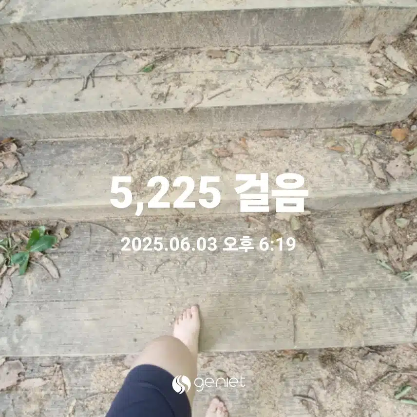 더운날은 숲에서 만보걷기