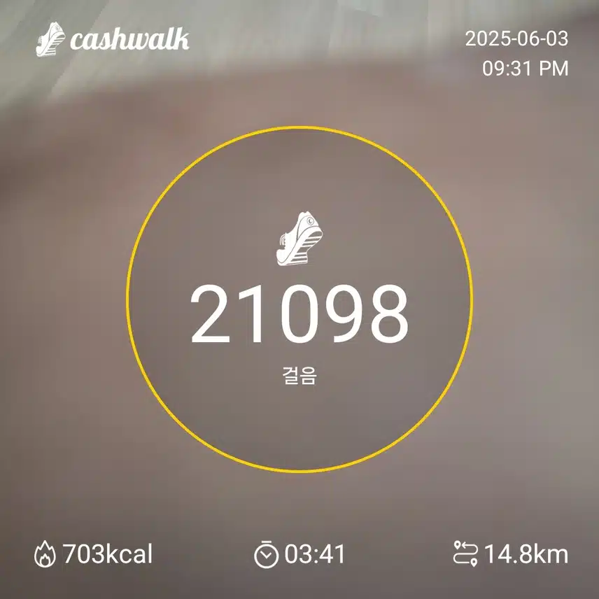 인증