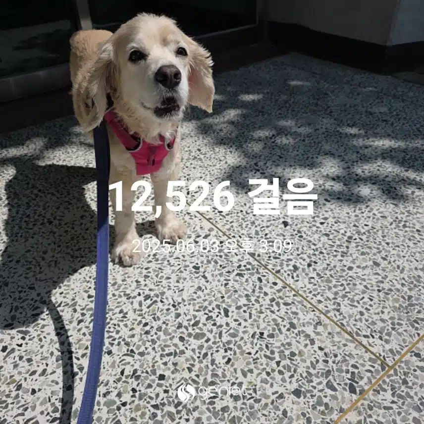 화요일 마무리 