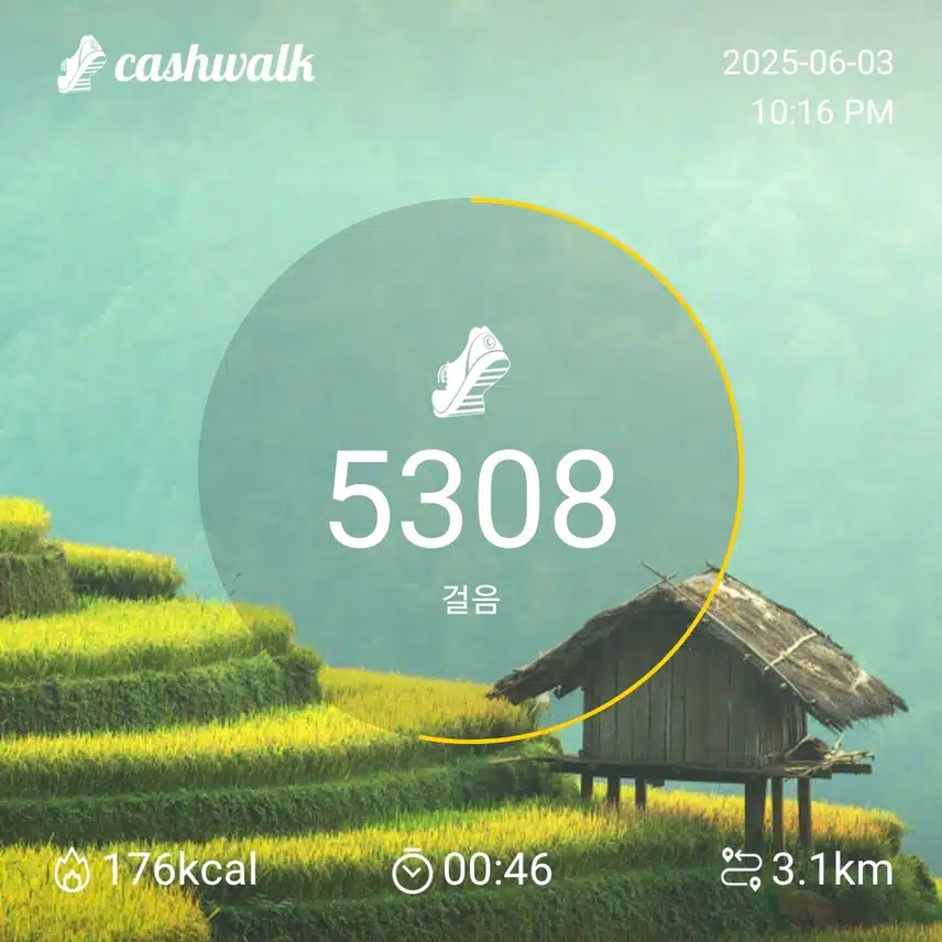 화요일 걷기운동