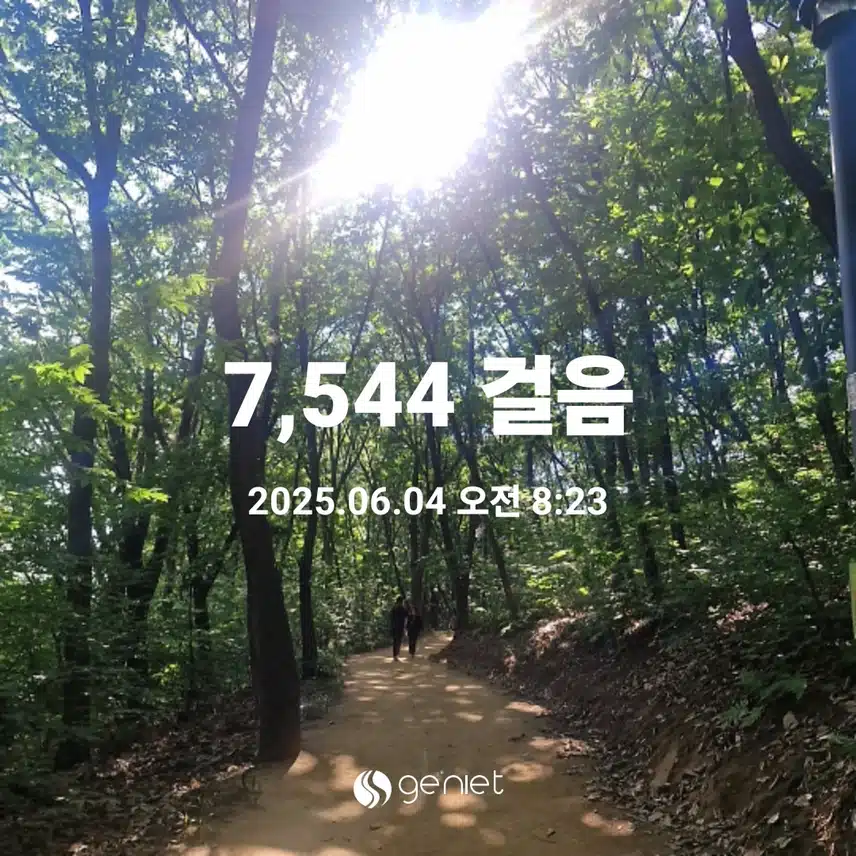 아침 산책