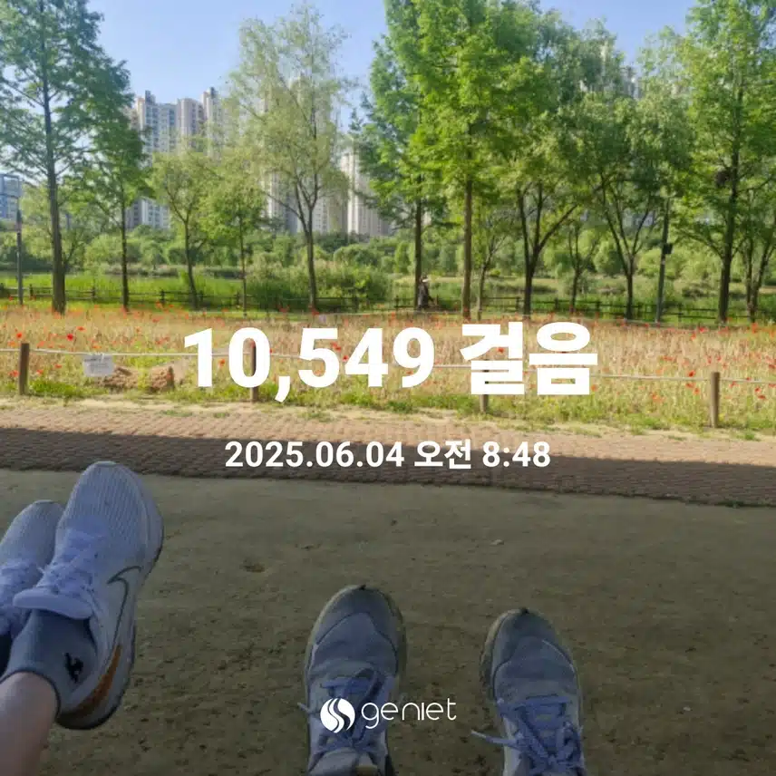 아침 산책