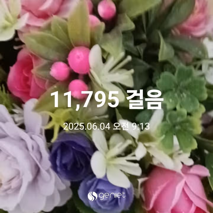 오전 운동 