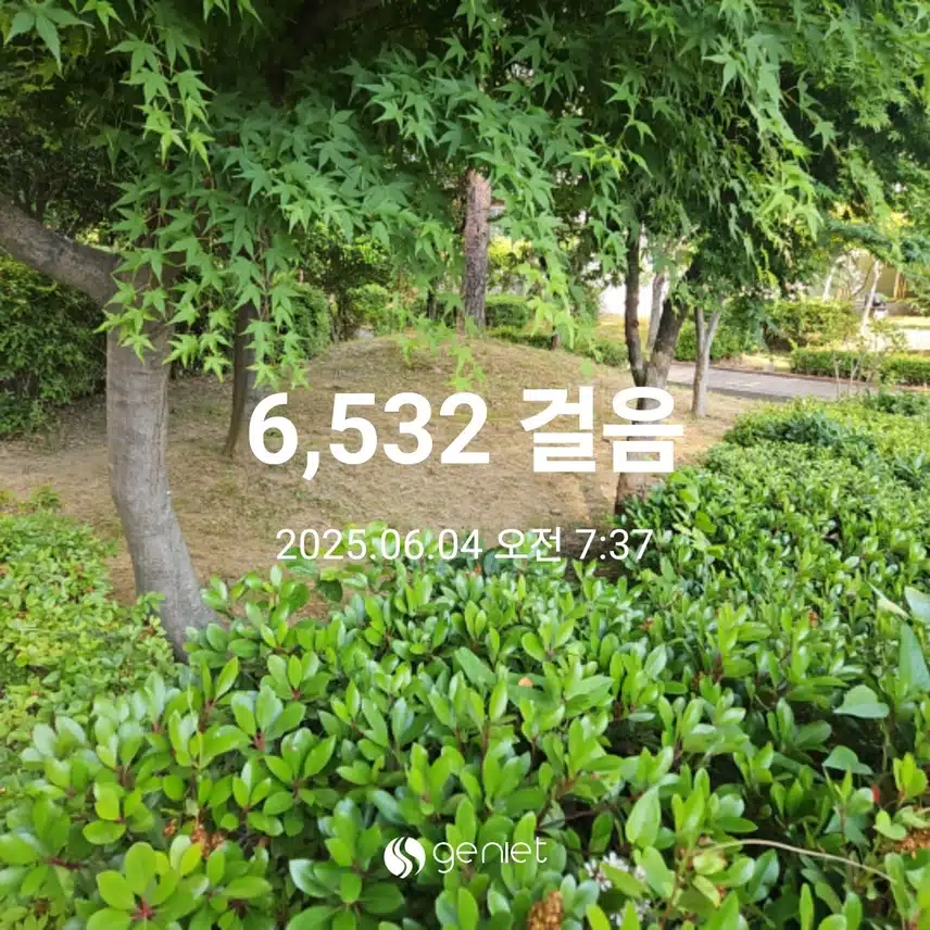 아침 산책길 선물이네요.🏃‍♀️💯🏃