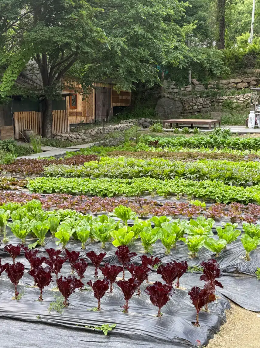 여행 가고 싶네요