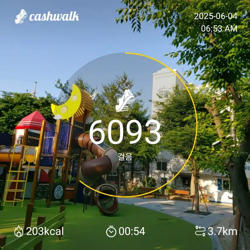 6000보 걷기