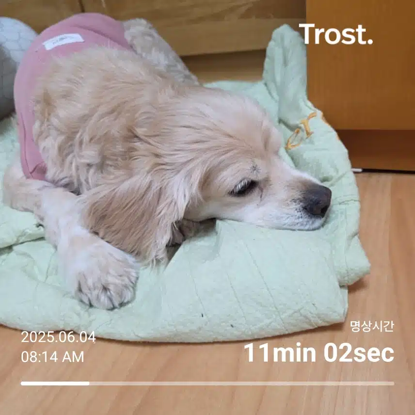 수요일 아침 