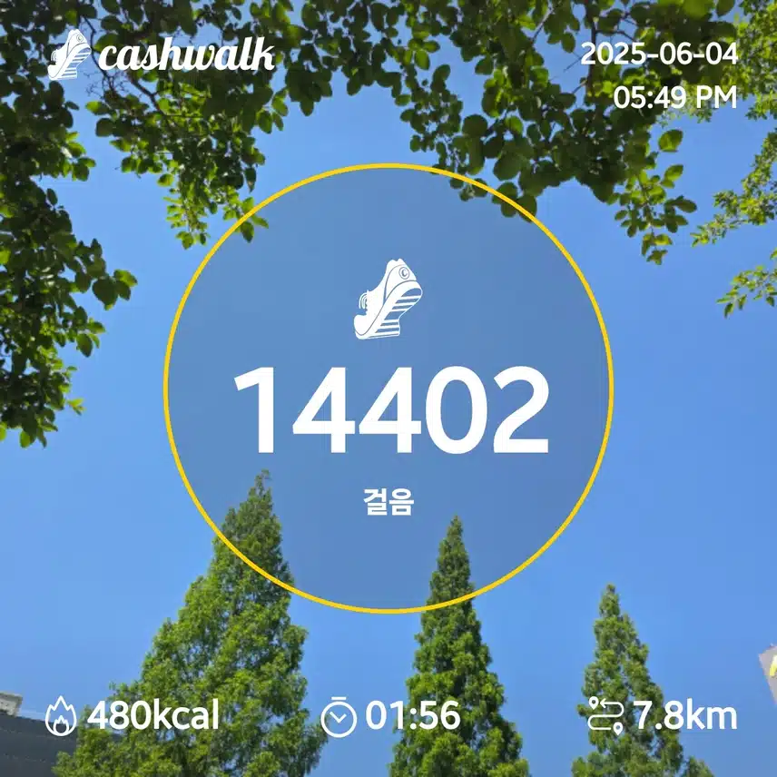 인증
